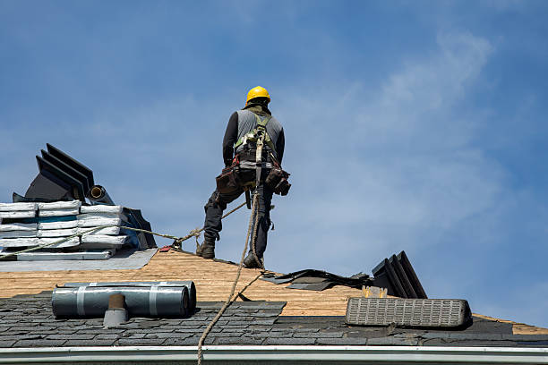 Professional Roof Replacement technician working in Almont, MI